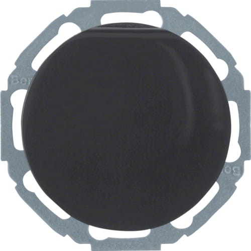 47442045.jpg