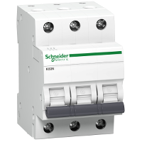 PB110017 (1).PNG