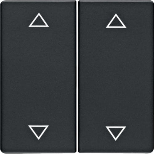 16446086.jpg