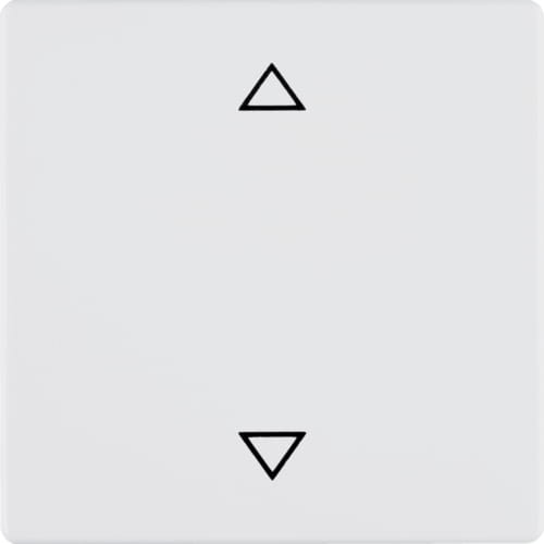 85241129.jpg