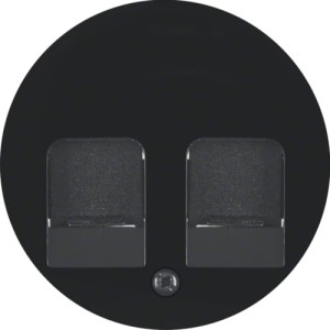 R.1/R.3 Płytka czołowa z zasuwkami chroniącymi przed kurzem z polem opisowym, czarny Berker 11812045